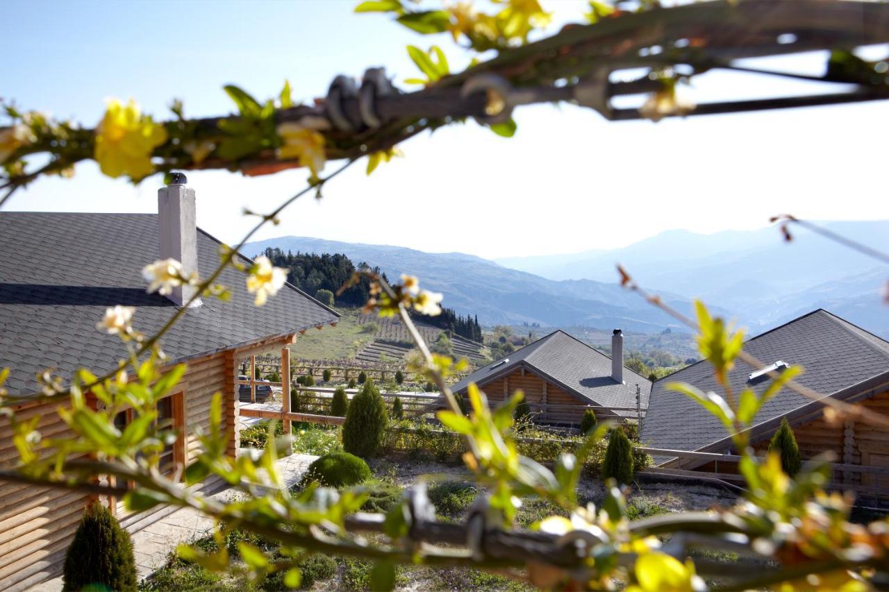 υάδες Mountain Hotel Kato Sinikia Trikalon
